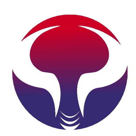 大学生校园营销大赛 logo