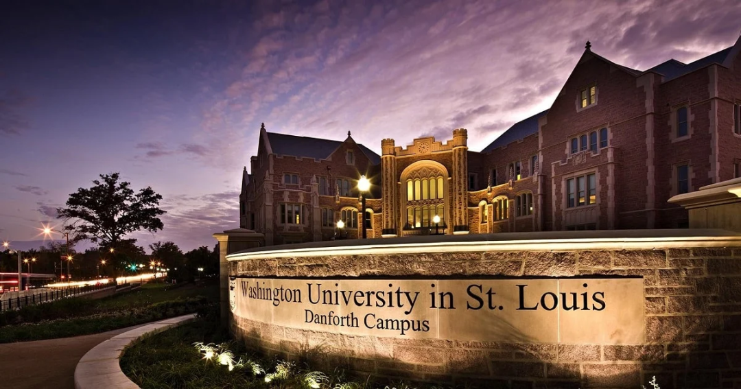 圣路易斯华盛顿大学学校图片