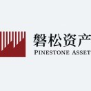 磐松資產(chǎn)logo