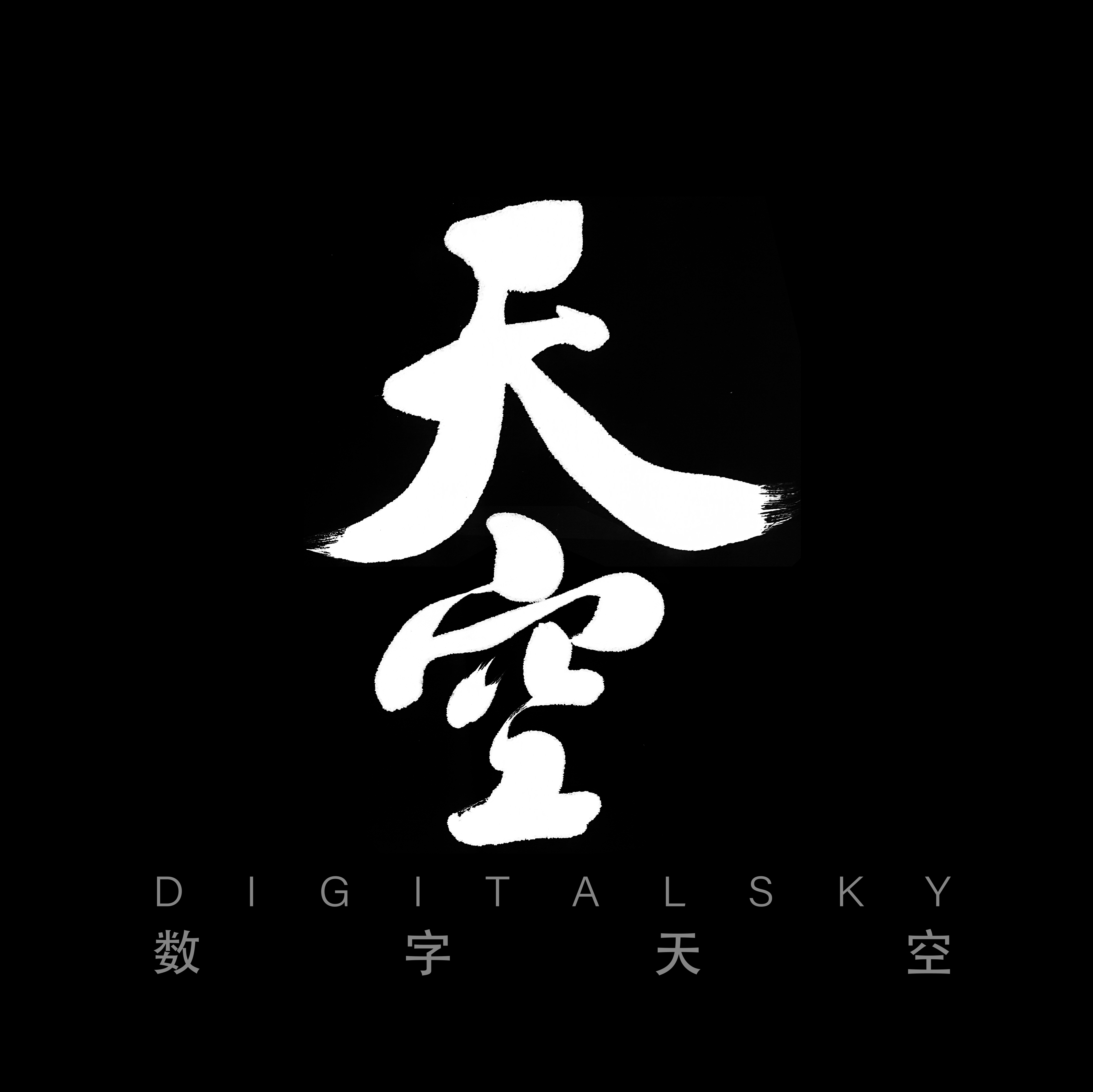 數(shù)字天空l(shuí)ogo