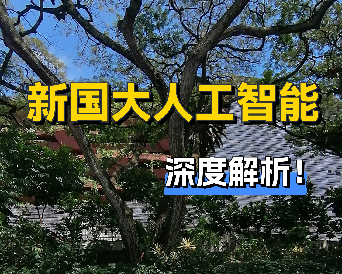 新國(guó)立人工智能深度解析