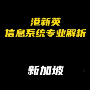 港新英信息系统专业解析：新加坡