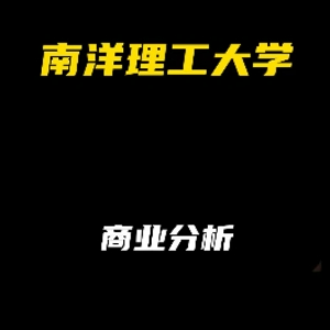 南洋理工大学：商业分析