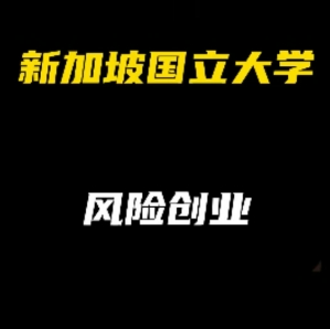 新加坡国立大学热门专业解析：风险创业