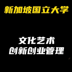 新加坡国立大学热门专业解析：文化艺术创新创业管理