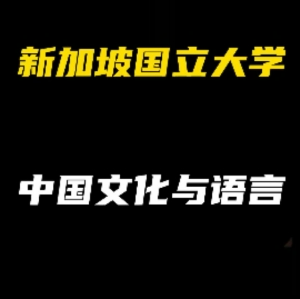 新加坡国立大学热门专业解析：中国文化与语言