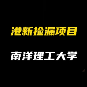 港新地区捡漏项目推荐：南洋理工大学