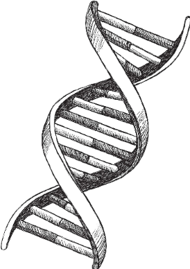 約翰霍普金斯大學(xué) | 新型人工智能血液檢測(cè)檢測(cè)肝癌