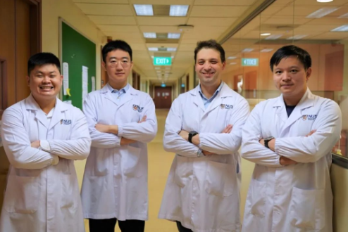 新加坡國立大學軟件工程科研進一步推動實現(xiàn)更安全的固態(tài)鈉充電電池