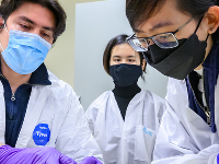 伊利諾伊大學(xué)香檳分校 | 一種大豆蛋白可阻止低密度脂蛋白膽固醇的產(chǎn)生，從而降低代謝疾病的風(fēng)險(xiǎn)
