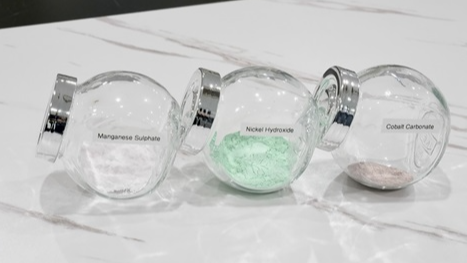 南洋理工大学 | 试点工厂利用生物质废料从电池废料中提取金属