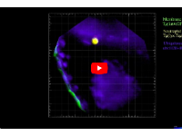 南加州大学 | 细胞内图片：南加州大学研究人员开发新工具，以提供对生物过程的更深入了解
