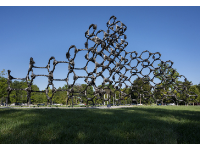 圣路易斯华盛顿大学 | Chakaia Booker：&ldquo;剃过的部分&rdquo;