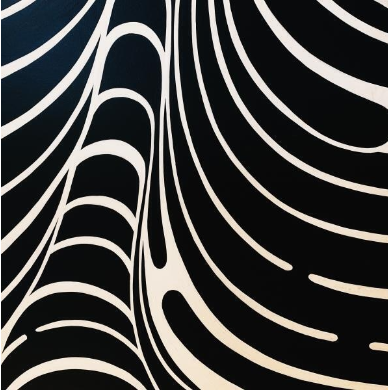 圣路易斯大学 | 人文学院资助信息午餐