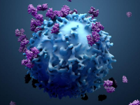 芝加哥大学 | 癌症免疫疗法，解释