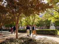 阿德莱德大学 | 资助重大糖尿病研究