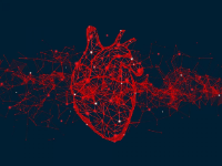 阿德莱德大学 | 将患者的声音放在医疗保健的前面