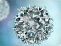 阿德莱德大学 | 靶向蛋白质可能导致MS治疗的突破