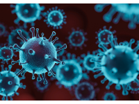 诺丁汉大学 | PANORAMIC临床试验发现，莫努匹拉韦并不能减少高危接种人群的新冠肺炎住院/死亡人数