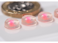 诺丁汉大学 | 新研究有助于医学3D打印的成功