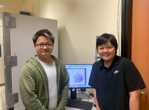 香港中文大学 | 中大研究显示提升胰岛素调节的免疫功能令人健康长寿