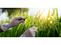 牛津大学 | 牛津大学生物学家对新《遗传技术法案》的评论
