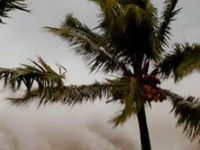 剑桥大学 | 在“世界法院”寻求气候正义