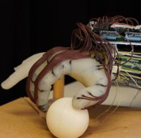 剑桥大学 | 四名剑桥研究人员获得欧洲研究委员会高级拨款