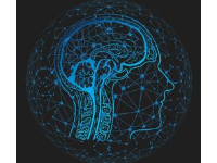 剑桥大学 | ChatGPT：教育的机遇和挑战