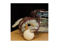 剑桥大学 | 一切都在手腕上：能效高的机器人手学会了如何不丢球