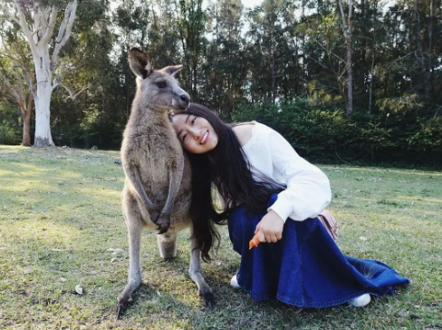 新南威尔士大学刘丹学姐的就读经验分享