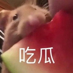 【留學小道消息Vol.71】香港城市大學又雙叒叕延期，思克萊德大學更新語言班政策！