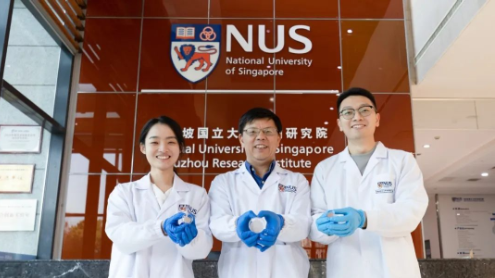新国大科学家开发出基于植物的细胞培养支架