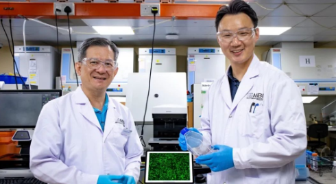 新加坡国立大学教授致力于研究癌细胞转移机制