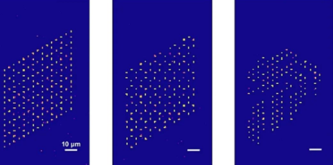 新加坡国立大学的量子科学家创造出最为先进的无缺陷原子阵列