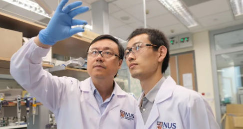 新国大的科研人员研发一种新型可吞咽的X射线剂量计胶囊