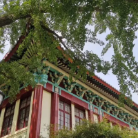 雅思8，我拿到港三大滿貫：搞笑女可以沒(méi)有愛(ài)情，但必須接到offer！