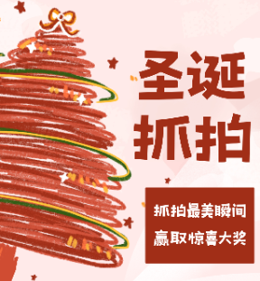 驚喜圣誕夜·歡樂分享秀：留學(xué)生鏡頭點亮節(jié)日！