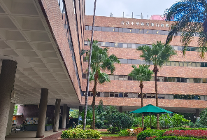 香港留學(xué)人數(shù)實(shí)現(xiàn)五年瘋漲！港碩集體提前開放申請，理工科爆火，熱門項(xiàng)目過半集中在港