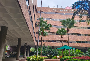 宣布無條件錄取哈佛國際生的港科大，更青睞哪一類海外本科畢業(yè)生？