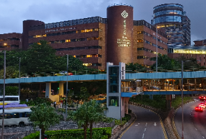 录取人数大跳水，25fall海本毕业生申请港硕进入“至暗时刻”？