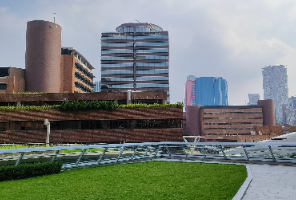 港八大狂发2661枚offer！港硕申请卷上天，但这几类学生早已提前锁定名额！