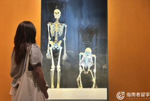 UCL两度发邮件挽留我，但我还是选择NUS！211学姐均分87，跨申上岸新国立