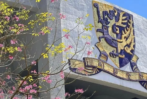 震惊！拿帝国理工给港中文保底？CUHK你凭什么？