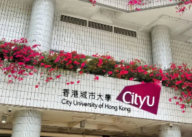 本科985，雅思7，申请仍被拒？“高不可攀”的港硕商科，到底都在录取谁？