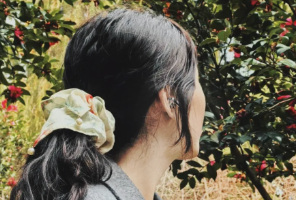 一战颗粒无收，二战上岸港大！