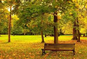 港校录取大反转！海本的“天然优势”失效了？最近录取数据给你真实答案！