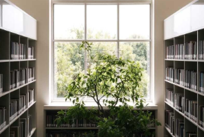 均分重要还是背景重要？26fall最新录取战绩公开，80分照样拿下港大offer