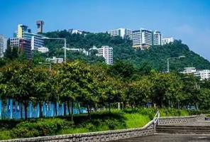 爆了！港校真的不缺人申请！港大按兵不动、港中文offer即将告急…