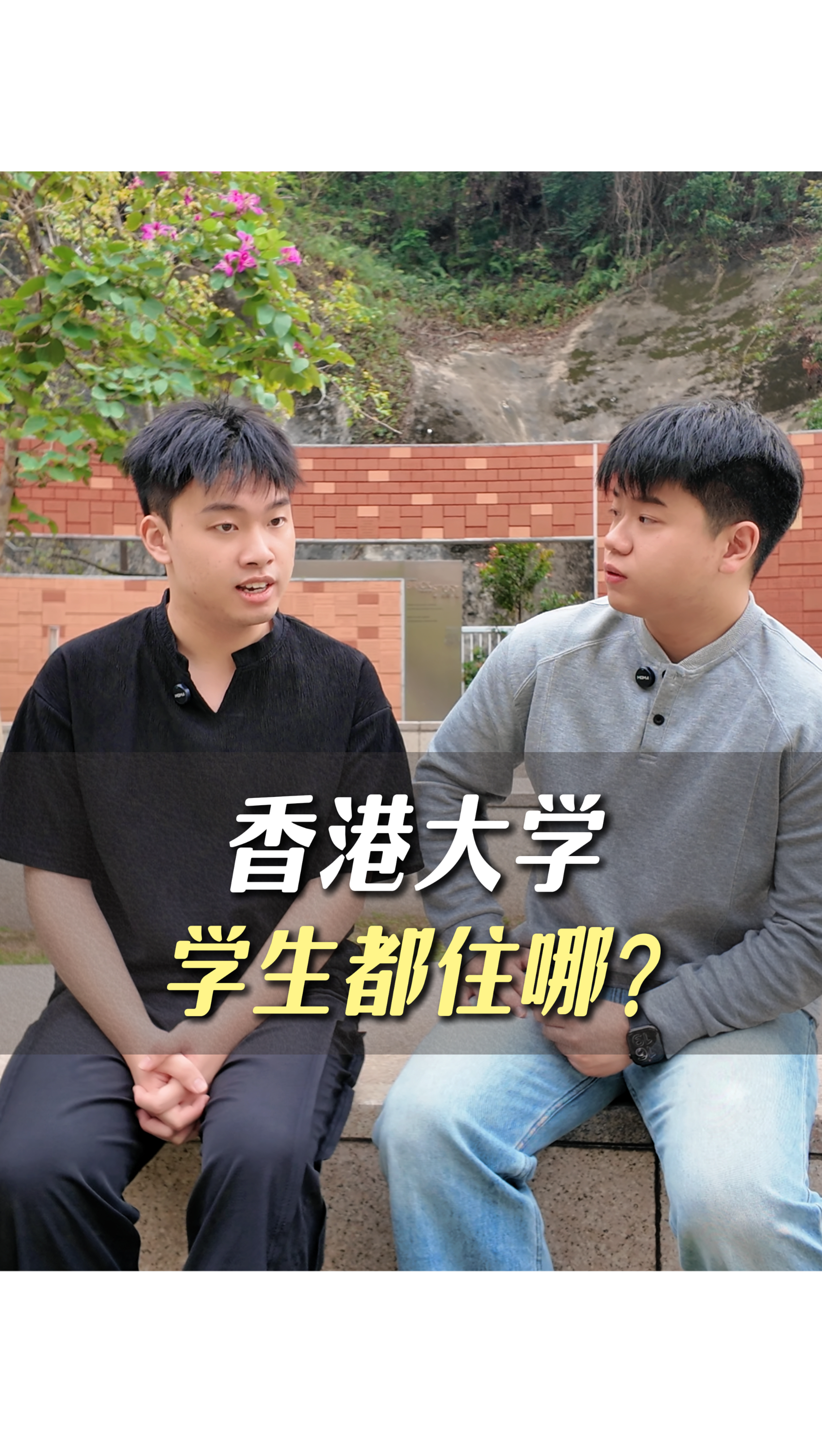 香港大學學生都住哪？